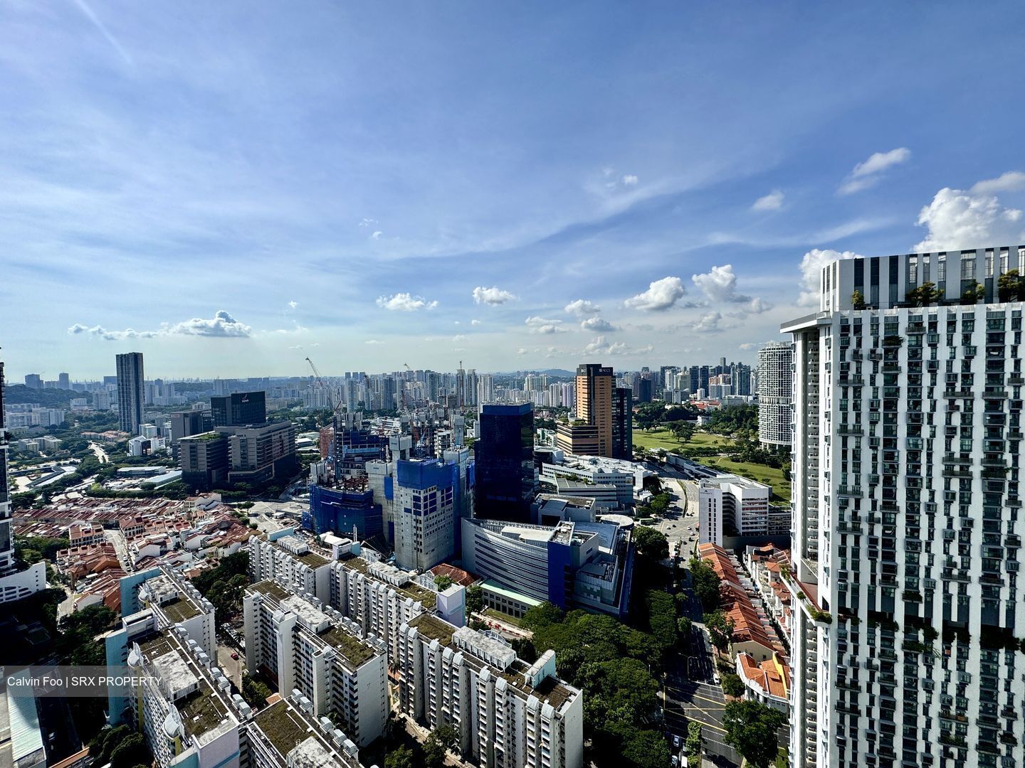 Blk 1 The Pinnacle@Duxton (Bukit Merah), HDB 4 Rooms #491890041